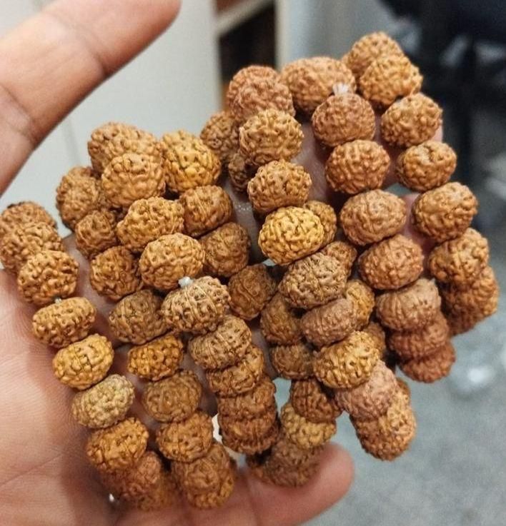 7 Mukhi Rudraksha Bracelet For Men | Attract Wealth & Positive Energya