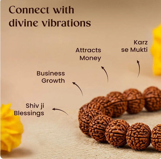 7 Mukhi Rudraksha Bracelet For Men | Attract Wealth & Positive Energya